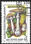 Stamps Russia -  Setas - Amanita phalloides