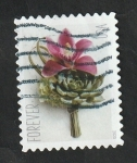 Stamps United States -  Flora