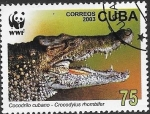 Sellos de America - Cuba -  cocodrilo cubano