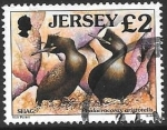 Stamps : Europe : Jersey :  aves