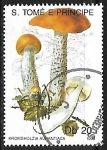 Stamps S�o Tom� and Pr�ncipe -  Setas - Krombholzia aurantiaca