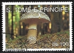 Stamps : Africa : S�o_Tom�_and_Pr�ncipe :  Setas - Amanita Spissa