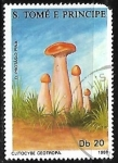 Stamps S�o Tom� and Pr�ncipe -  Setas - Clitocybe geotropa
