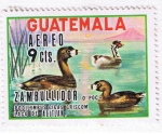 Stamps Guatemala -  Zambullidor  Lago de Atitlan