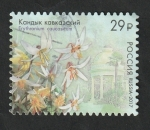 Sellos de Europa - Rusia -  7812 - Flor, Erythronium caucasicum