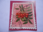 Stamps Switzerland -  Día del Sello - Pro Juventute-Árbol Amargoso-Sorbus Ancuparia-Planta ornamental del bosque.
