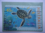 Sellos de Oceania - Australia -  Flatback Turtle -Tortuga de Espalda Plana Australiana- (Chelonia Depressa)-Serie:Vida Marina.