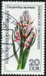 Stamps : Europe : Germany :  Orquidea