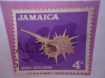 Stamps : America : Jamaica :  MurexNtillarum.