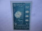 Stamps Egypt -  Congreso Internacional de Algodón - Cembrado y Recolectores de Algodón