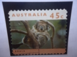 Stamps Australia -  Koala (Phascolarctos cinereus) - Serie:Canguros y Kaolas.