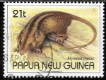 Sellos de Oceania - Pap�a Nueva Guinea -  fauna