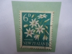 Stamps New Zealand -  Pikiarero (Clematis paniculata) Dulce Clemátide de Otoño