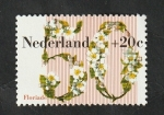 Sellos de Europa - Holanda -  1173 - Flores