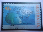 Stamps Australia -  Potato Cod (Epinephelus tukula) - Maori Wrasse - Serie: Marina - Bacalao de Patata - Napoleón 