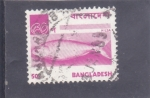 Stamps Bangladesh -  PEZ