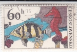 Stamps Czechoslovakia -  PEZ Y CABALLITO DE MAR 