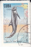 Stamps Cuba -  delfín de Risso