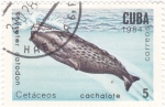 Sellos de America - Cuba -  cachalote 