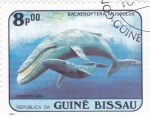 Stamps Guinea Bissau -  balaenoptera  musculus