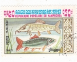 Stamps Cambodia -  PECES- trucha