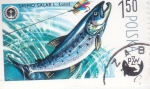 Stamps Poland -  pesca del salmón - PZW