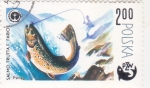 Stamps Poland -  pesca del salmón  PZW