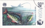 Sellos de Europa - Polonia -  pesca fluvial- PZW