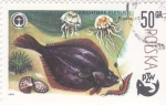 Stamps Poland -  pesca del platichthys flesus- PZW