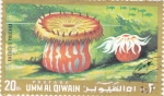 Stamps United Arab Emirates -  ragatis pulchra