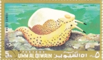 Sellos de Asia - Emiratos �rabes Unidos -  fauna marina