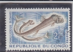 Sellos de Africa - Rep�blica del Congo -  PEZ- chauliodus sloanei