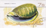 Stamps Guinea -  caracola- marginella strigata