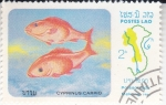 Stamps : Asia : Laos :  PEZ- cyprinus carpio 