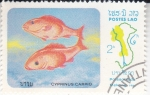 Stamps Laos -  PEZ- cyprinus carpio 