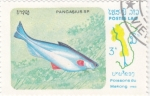 Stamps Laos -  PEZ- pangasius