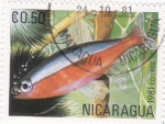 Sellos de America - Nicaragua -  PEZ- cheirodon axeirodi