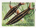 Stamps Nicaragua -  PEZ- anostomus