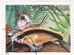 Sellos de America - Nicaragua -  PEZ-corydoras arcuatus
