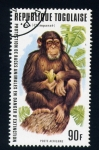 Stamps Africa - Togo -  Animales en peligro de extición