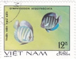 Sellos de Asia - Vietnam -  peces tropicales 