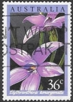 Stamps : Oceania : Australia :  flora