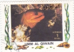 Stamps United Arab Emirates -  pez tropical