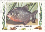 Sellos de Asia - Emiratos �rabes Unidos -  pez tropical