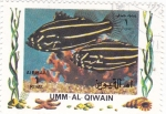 Stamps United Arab Emirates -  peces tropicales