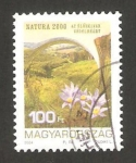 Stamps Hungary -  4040 - Protección del medio ambiente