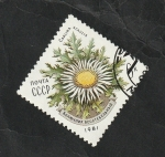 Stamps Russia -  4803 - Flor, Carlina acaulis