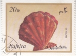 Stamps United Arab Emirates -  concha