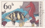 Stamps Czechoslovakia -  pez tropical y caballito de mar 