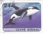 Stamps : Africa : Guinea_Bissau :  orca